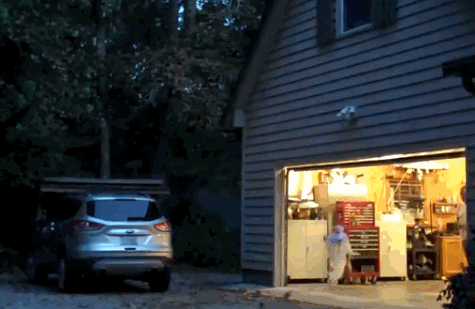 Acid Gifdump, October 25, 2018 (25 gifs)