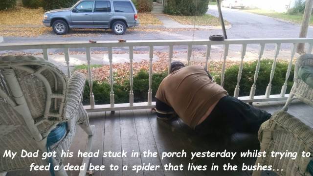 When Men Have Fun (54 pics)