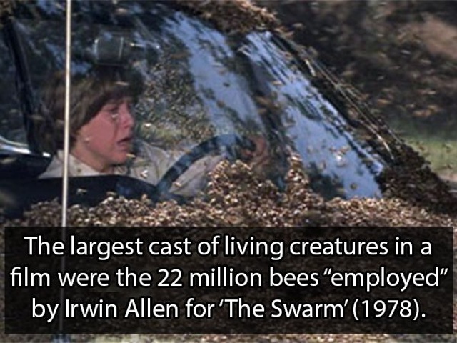 Facts About Hollywood (18 pics)