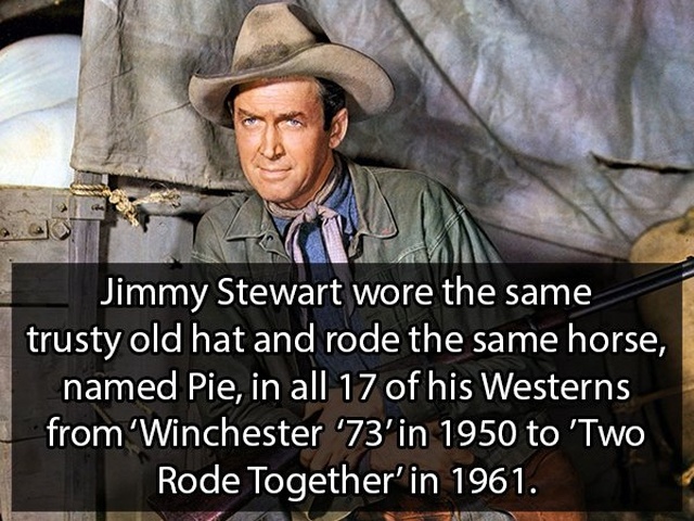 Facts About Hollywood (18 pics)