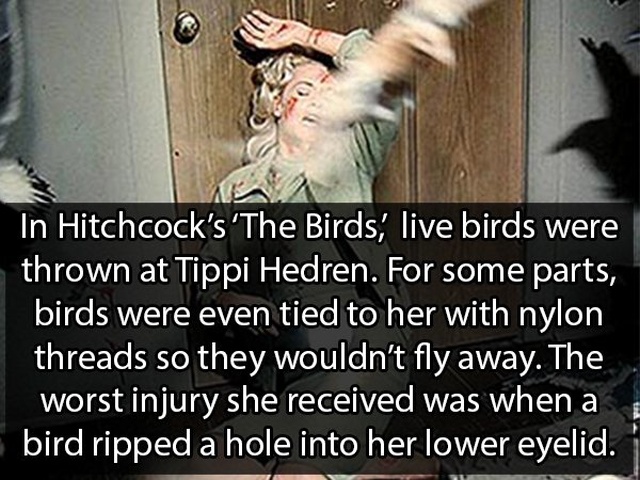 Facts About Hollywood (18 pics)