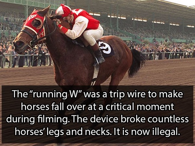 Facts About Hollywood (18 pics)