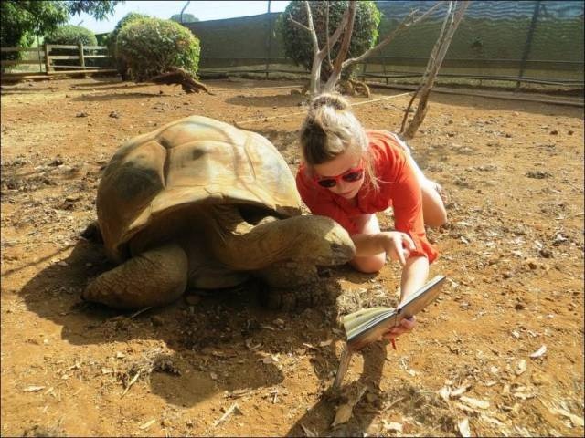 Acid Picdump (92 pics)