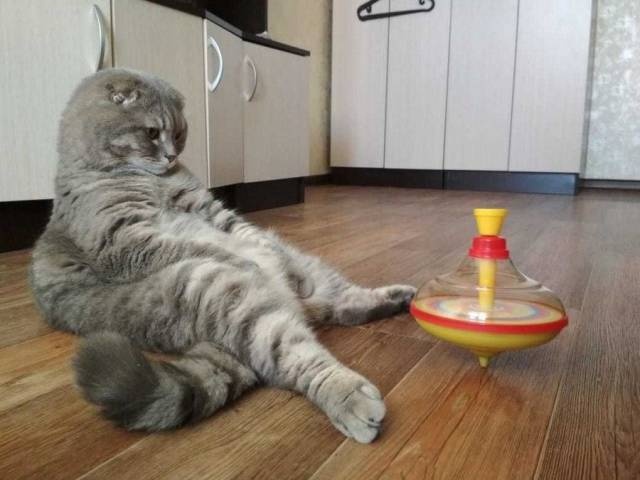 Acid Picdump (92 pics)
