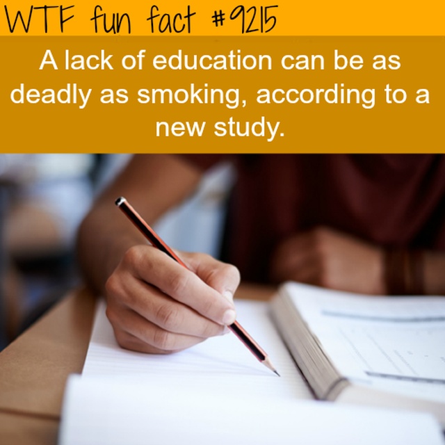 Interesting Facts (13 pics)