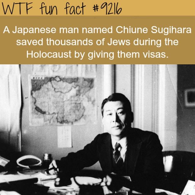 Interesting Facts (13 pics)