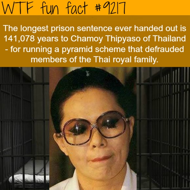 Interesting Facts (13 pics)