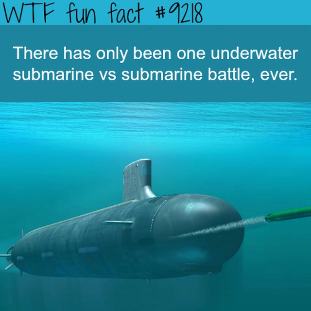 Interesting Facts (13 pics)