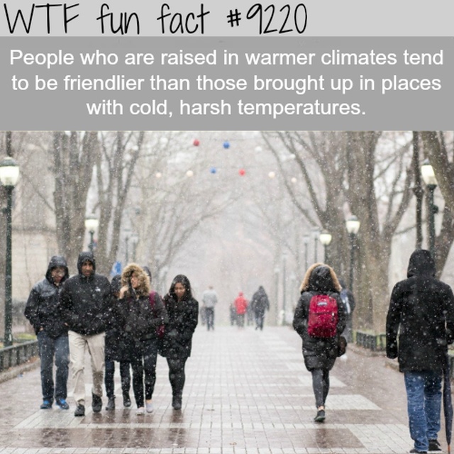 Interesting Facts (13 pics)