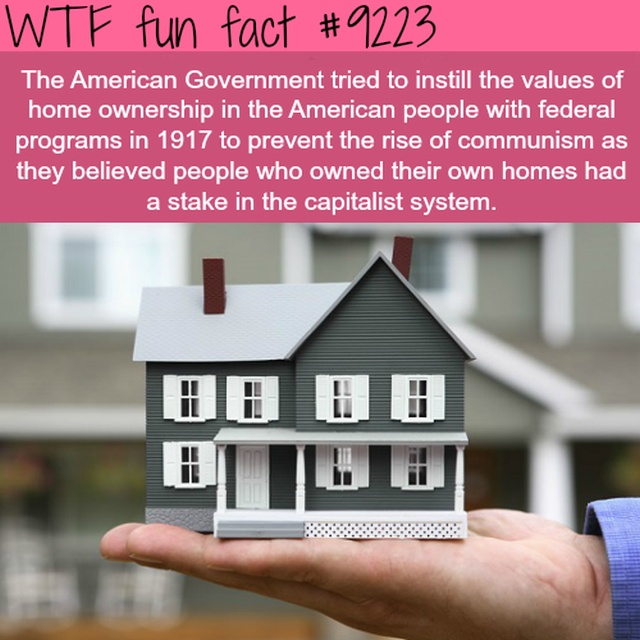 Interesting Facts (13 pics)