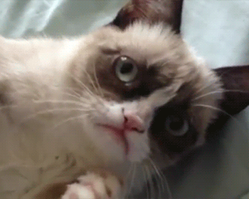 Acid Gifdump, October 26, 2018 (25 gifs)