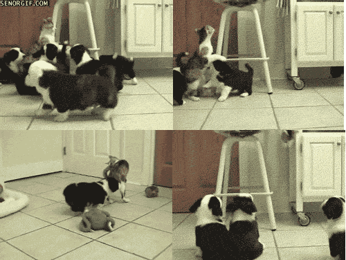 Acid Gifdump, October 26, 2018 (25 gifs)