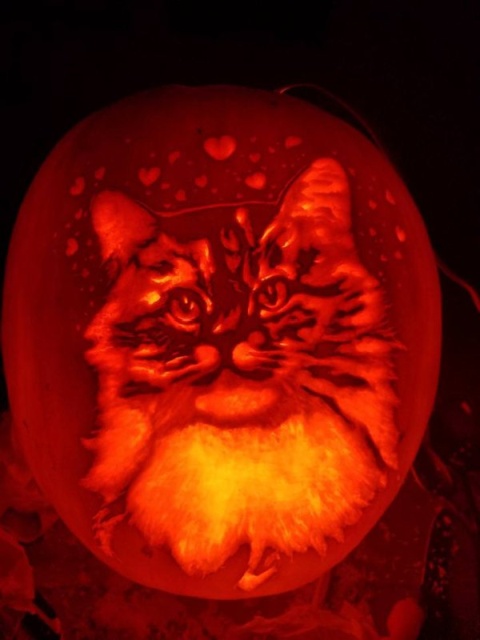 Pumpkin Carvings (28 pics)