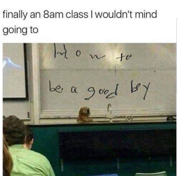 Selection Of Memes (45 pics)