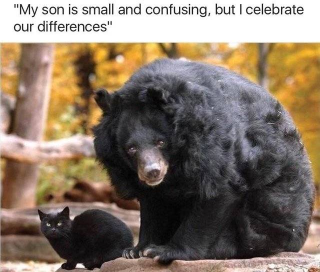 Selection Of Memes (45 pics)