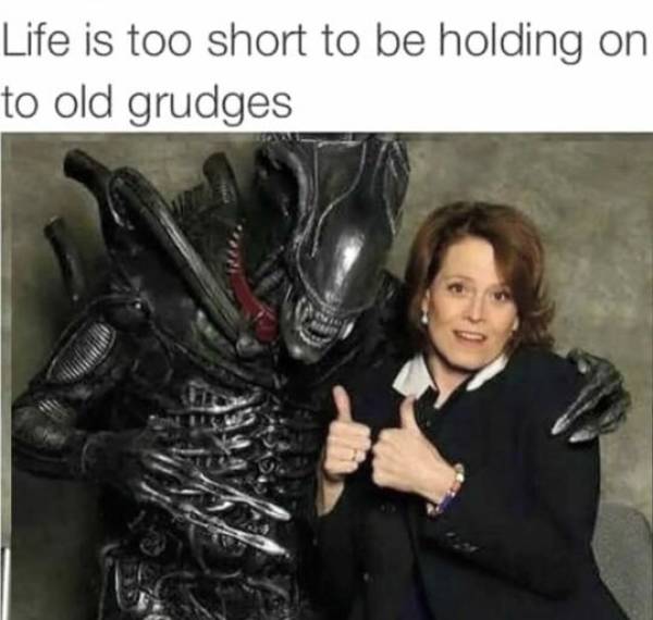 Selection Of Memes (45 pics)