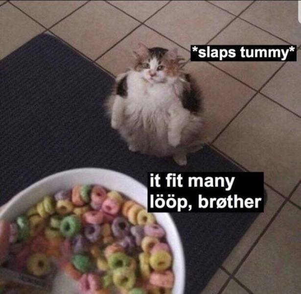 Selection Of Memes (45 pics)