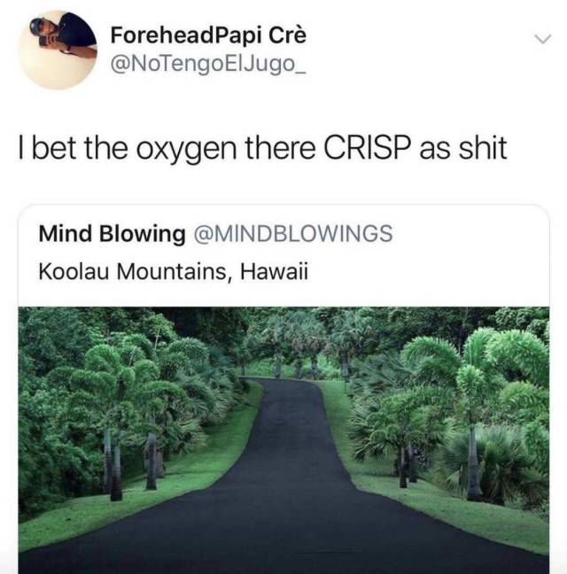 Selection Of Memes (45 pics)