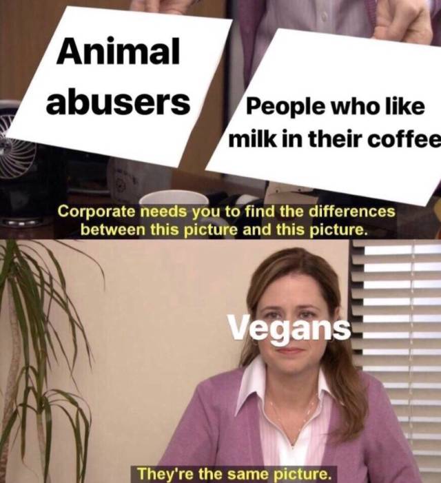 Selection Of Memes (45 pics)