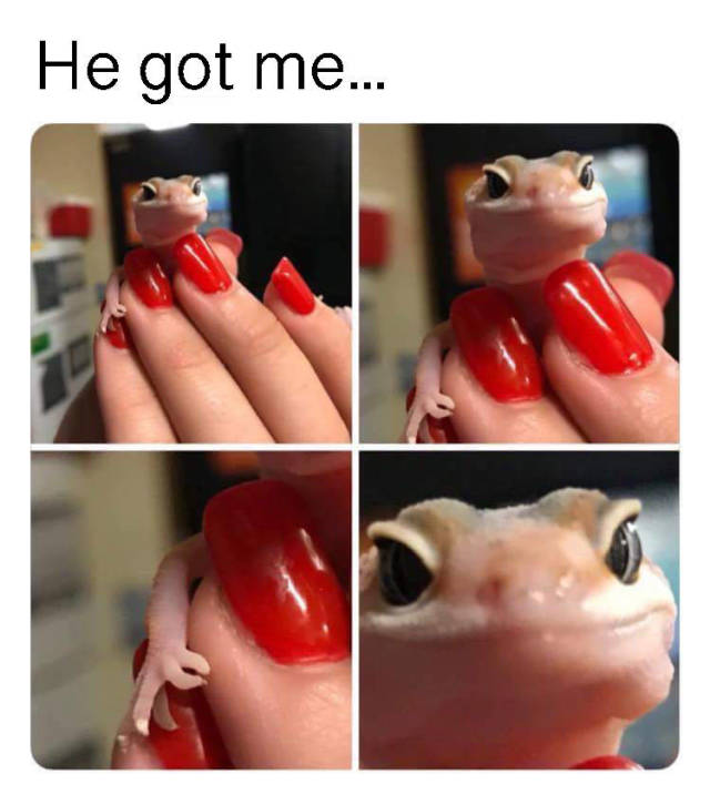 Selection Of Memes (45 pics)