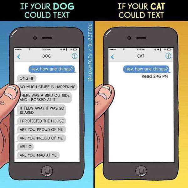 So True (39 pics)
