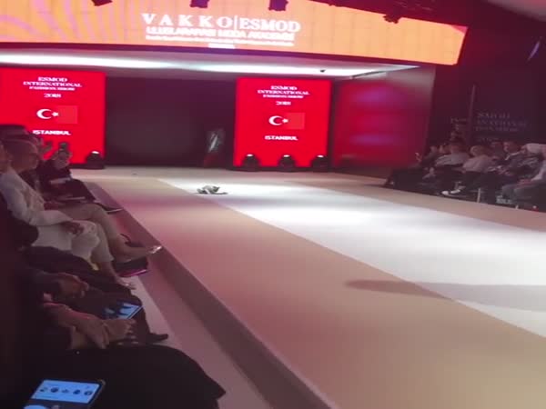 Cat Steals The Show After Crashing Fashion Event In Istanbul