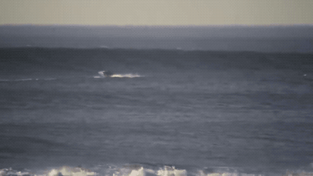 Boats Vs Waves (17 gifs)