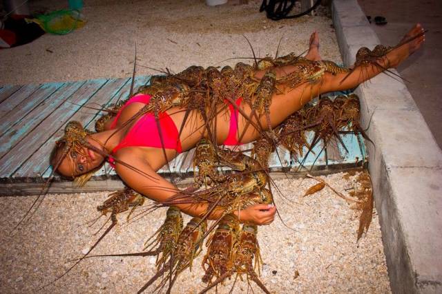 WTF Photos (38 pics)