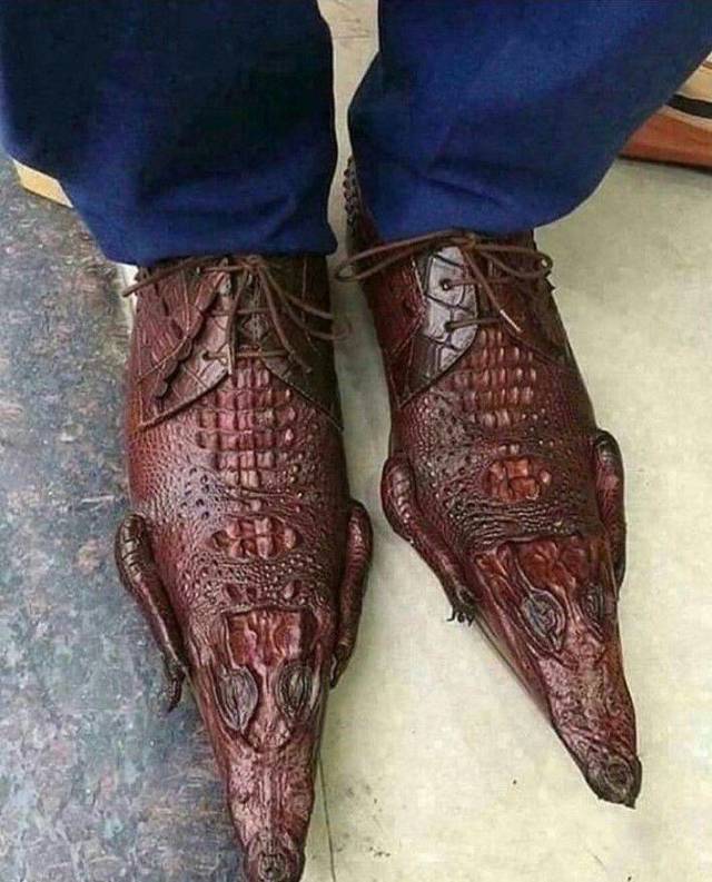 WTF Photos (38 pics)