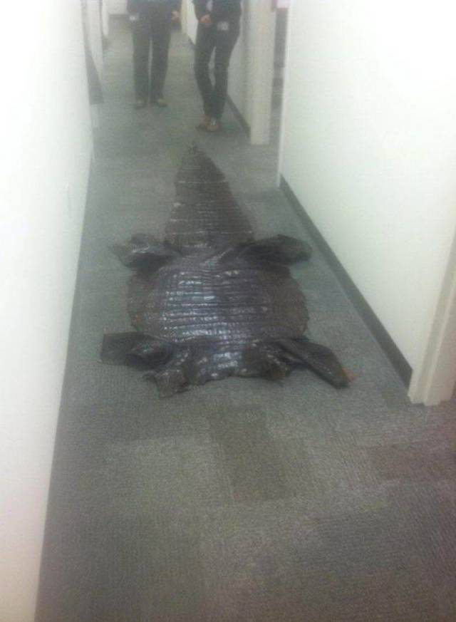 WTF Photos (38 pics)