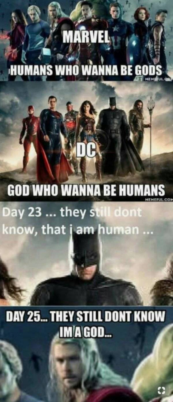 DC Memes (29 pics)