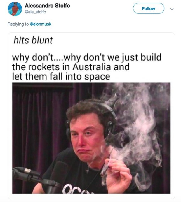 When Elon Musk Asks For “Dank Memes” (14 pics)