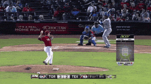 Sport Fans Hall of Shame (17 gifs)