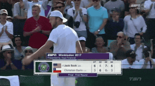 Sport Fans Hall of Shame (17 gifs)