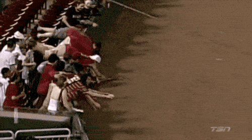 Sport Fans Hall of Shame (17 gifs)