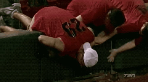 Sport Fans Hall of Shame (17 gifs)