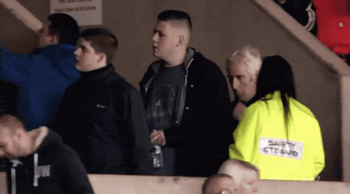 Sport Fans Hall of Shame (17 gifs)