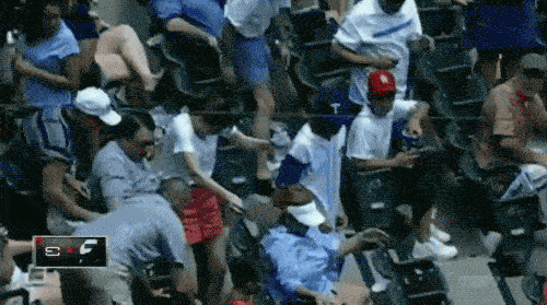 Sport Fans Hall of Shame (17 gifs)