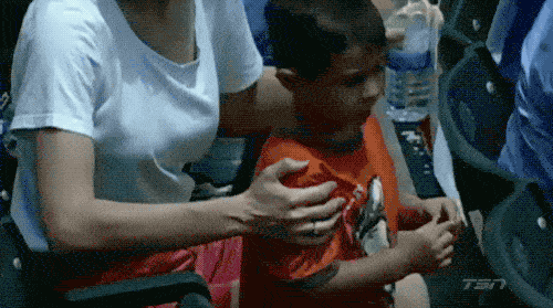 Sport Fans Hall of Shame (17 gifs)