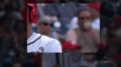 Sport Fans Hall of Shame (17 gifs)