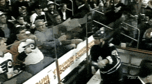 Sport Fans Hall of Shame (17 gifs)