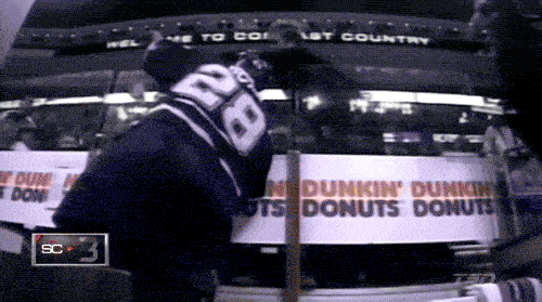 Sport Fans Hall of Shame (17 gifs)