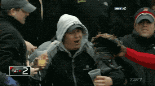 Sport Fans Hall of Shame (17 gifs)