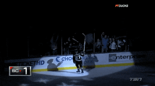 Sport Fans Hall of Shame (17 gifs)