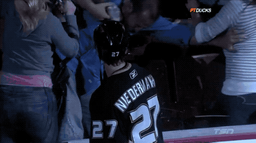 Sport Fans Hall of Shame (17 gifs)