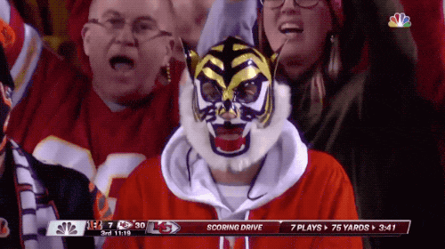 Sport Fans Hall of Shame (17 gifs)