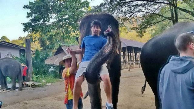 Acid Picdump (99 pics)