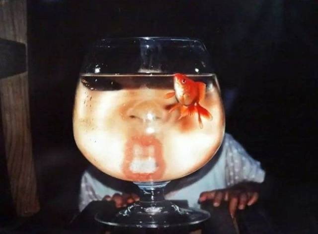 Acid Picdump (99 pics)