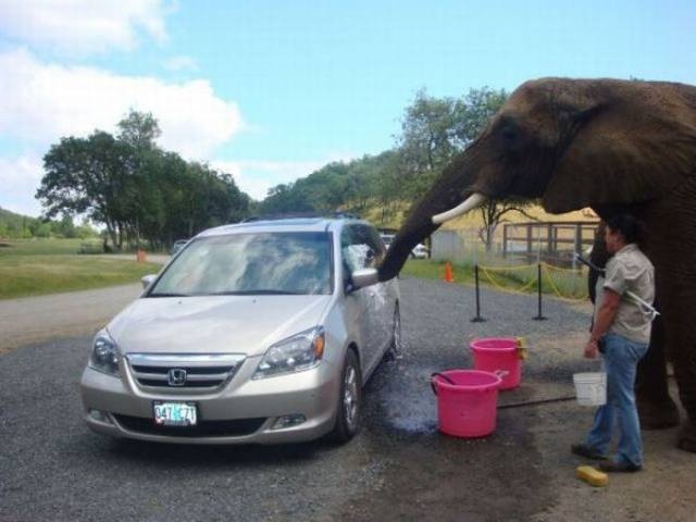 Acid Picdump (99 pics)
