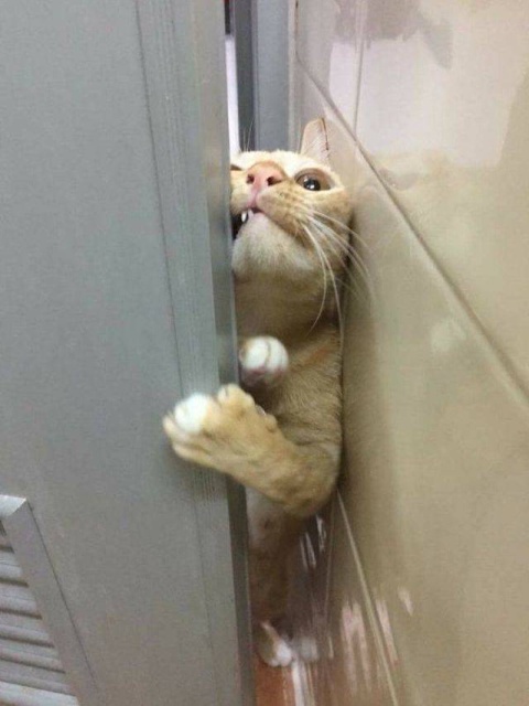 Acid Picdump (99 pics)